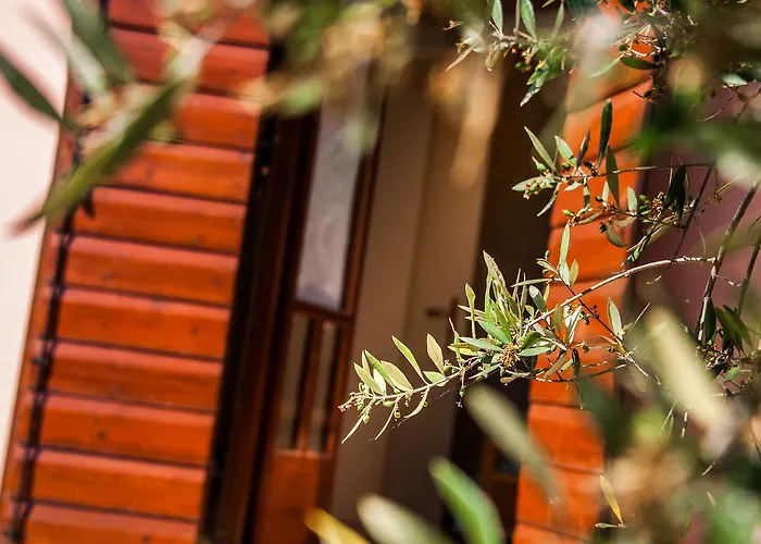 Casa Elaia Landhuis Agios Dimitrios (Zakynthos)