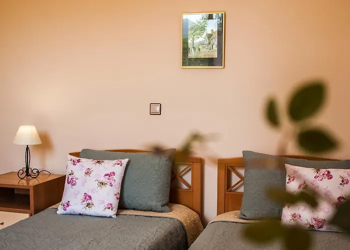 Casa Elaia Landhuis Agios Dimitrios (Zakynthos)