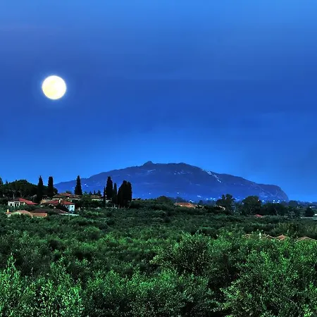 Casa Elaia Agios Dimitrios (Zakynthos)