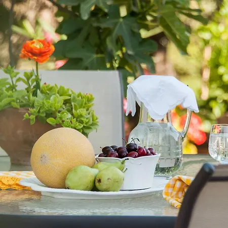 Casa Elaia Country house Agios Dimitrios (Zakynthos)