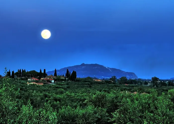 Casa Elaia Agios Dimitrios (Zakynthos)