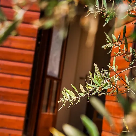 Casa Elaia Landsted Agios Dimitrios (Zakynthos)